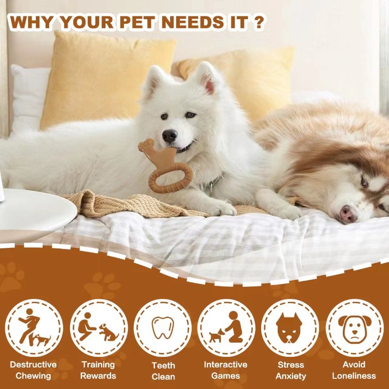 O1CN01rWxdce2MGSFGVg8C6_!!2731769800-0-cib_WH_800x800px