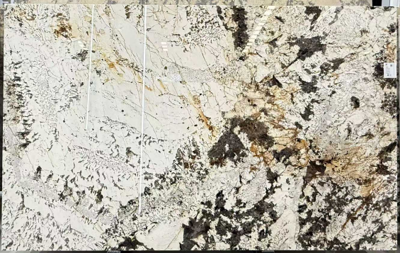 微信图片_20260228143703_434_73